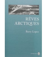 Rêves arctiques : imagination et désirs dans un paysage nordique