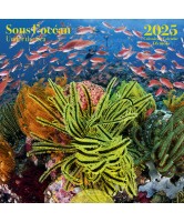 CALENDRIER 2025 SOUS L'OCEAN