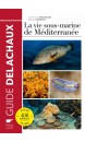 La vie sous marine de Méditerranée