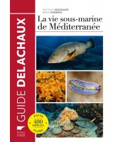 La vie sous marine de Méditerranée