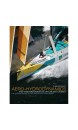 Aero-hydrodynamics and the performance of sailing yachts